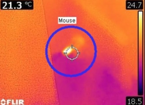 Thermal Imaging